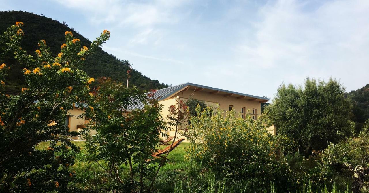 Mar De Fulles Hotel Alfondeguilla Екстериор снимка